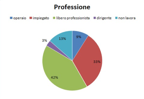 Grafico a torta professione